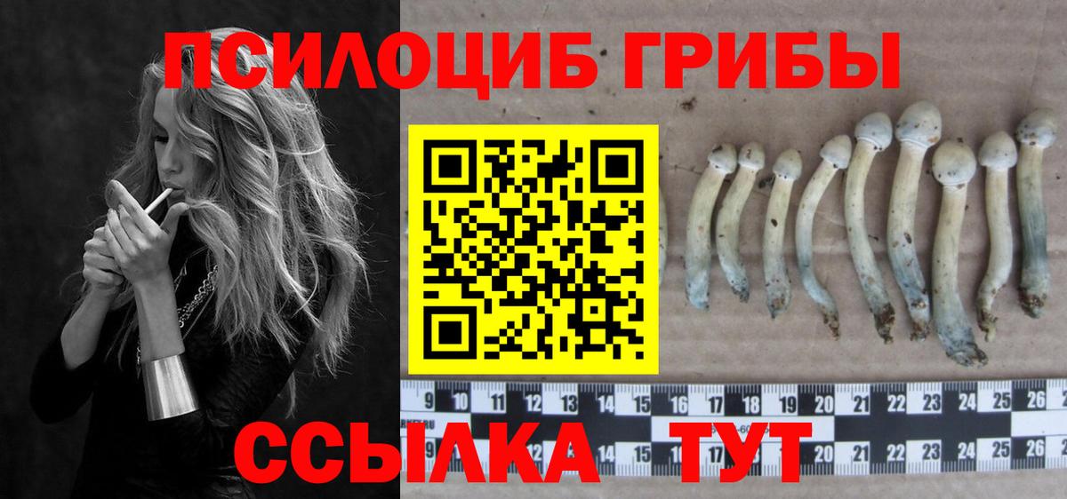 Галлюциногенные грибы MAGIC MUSHROOMS Фролово