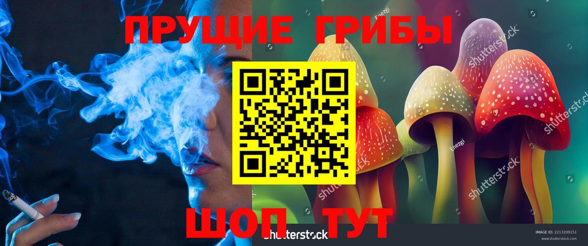 Галлюциногенные грибы прущие грибы  Вход с VPN  Галлюциногенные грибы GOLDEN TEACHER  Фролово 
